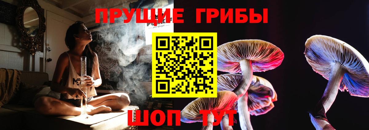 Геленджик  Галлюциногенные грибы мицелий  как найти наркотики  Вход с VPN  Псилоцибиновые грибы Psilocybine cubensis 